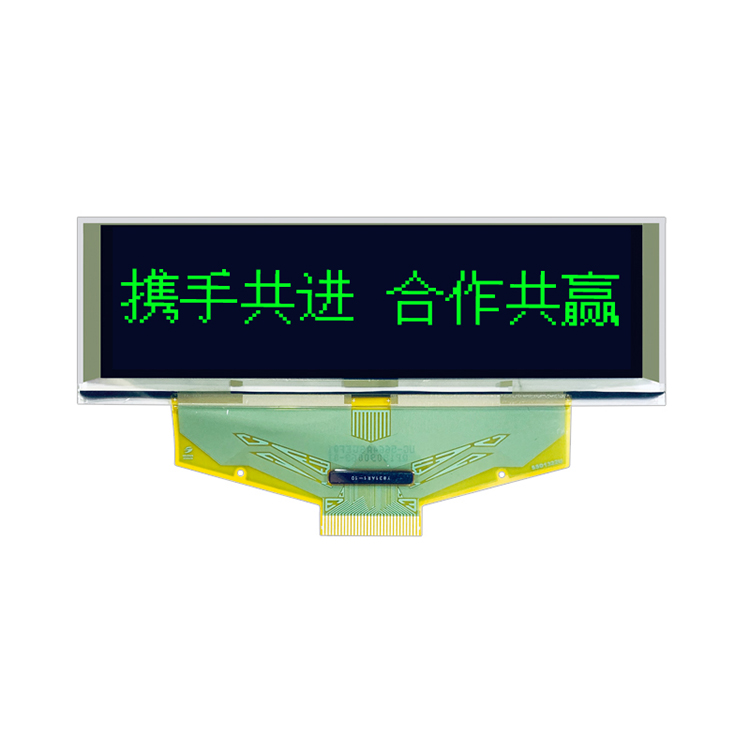 3.12 Inch OLED Display 256X64 Graphic Display